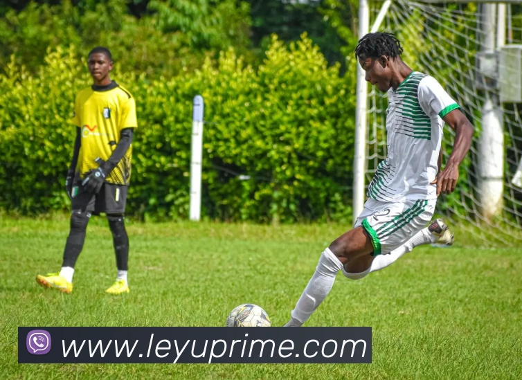 乐鱼体育发展历程